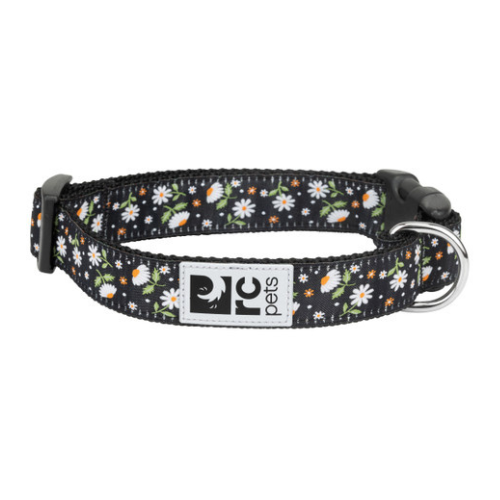 CLIP COLLAR L 1 DAISIES