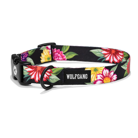 Wolfgang DarkFloral Dog Collar LG