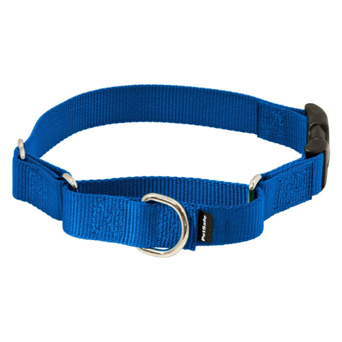 PetSafe Quick Snap Martingale Dog Collar Medium 1'' Blue