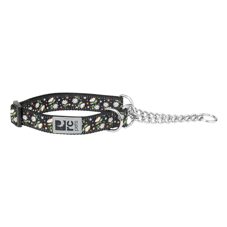 TRAINING COLLAR L DAISIES