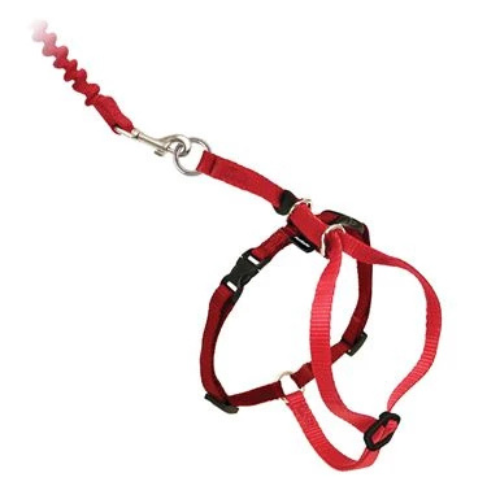 Petsafe Come With Me Kitty Harness & Bungee Leash Medium Red