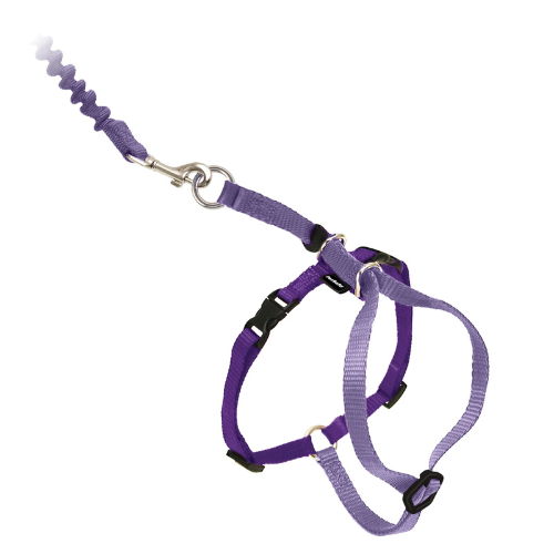 Petsafe Come With Me Kitty Harness & Bungee Leash Medium Lilac