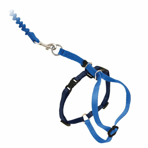 Petsafe Come With Me Kitty Harness & Bungee Leash Small Royal Blue