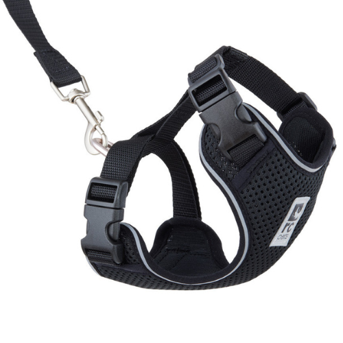 RCPET Adventure Kitty Harness S Black