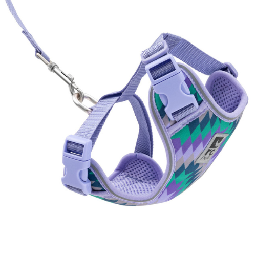 ADVENTURE KITTY HARNESS S MAZE