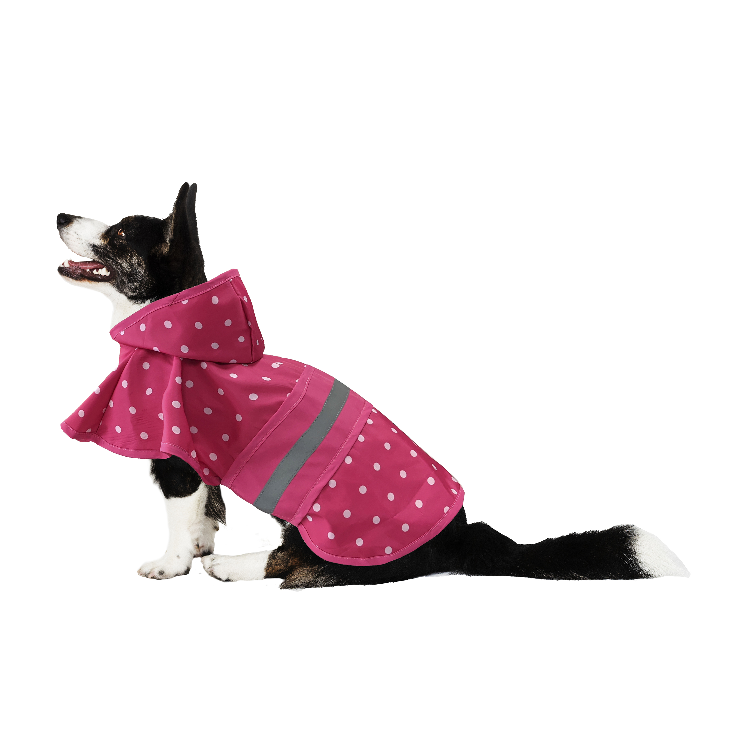 POLKA DOT RAINCOAT PINK XS