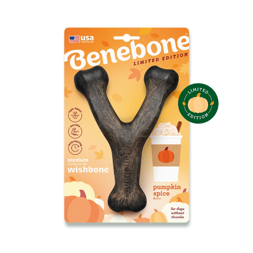 Benebone Wishbone Pumpkin Spice Medium