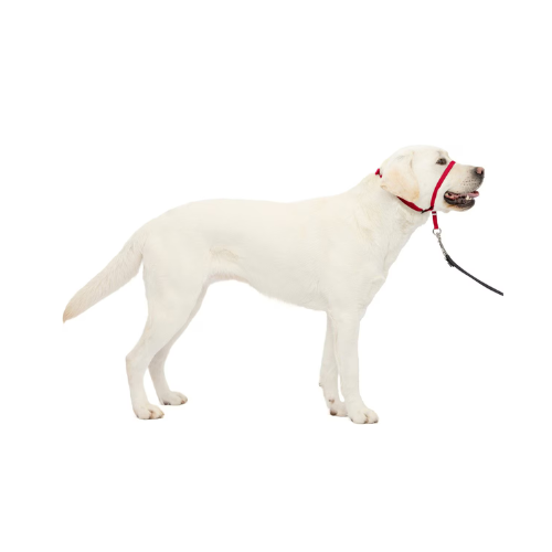 PetSafe Gentle Leader Quick Release Dog Harness Large Red