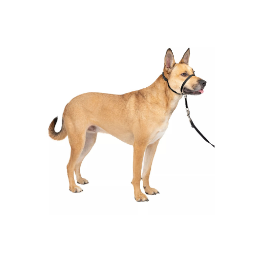 PetSafe Gentle Leader Quick Release Dog Harness Mediun Black