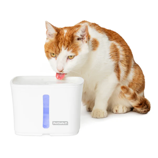 Petsafe Viva Fountain 64oz