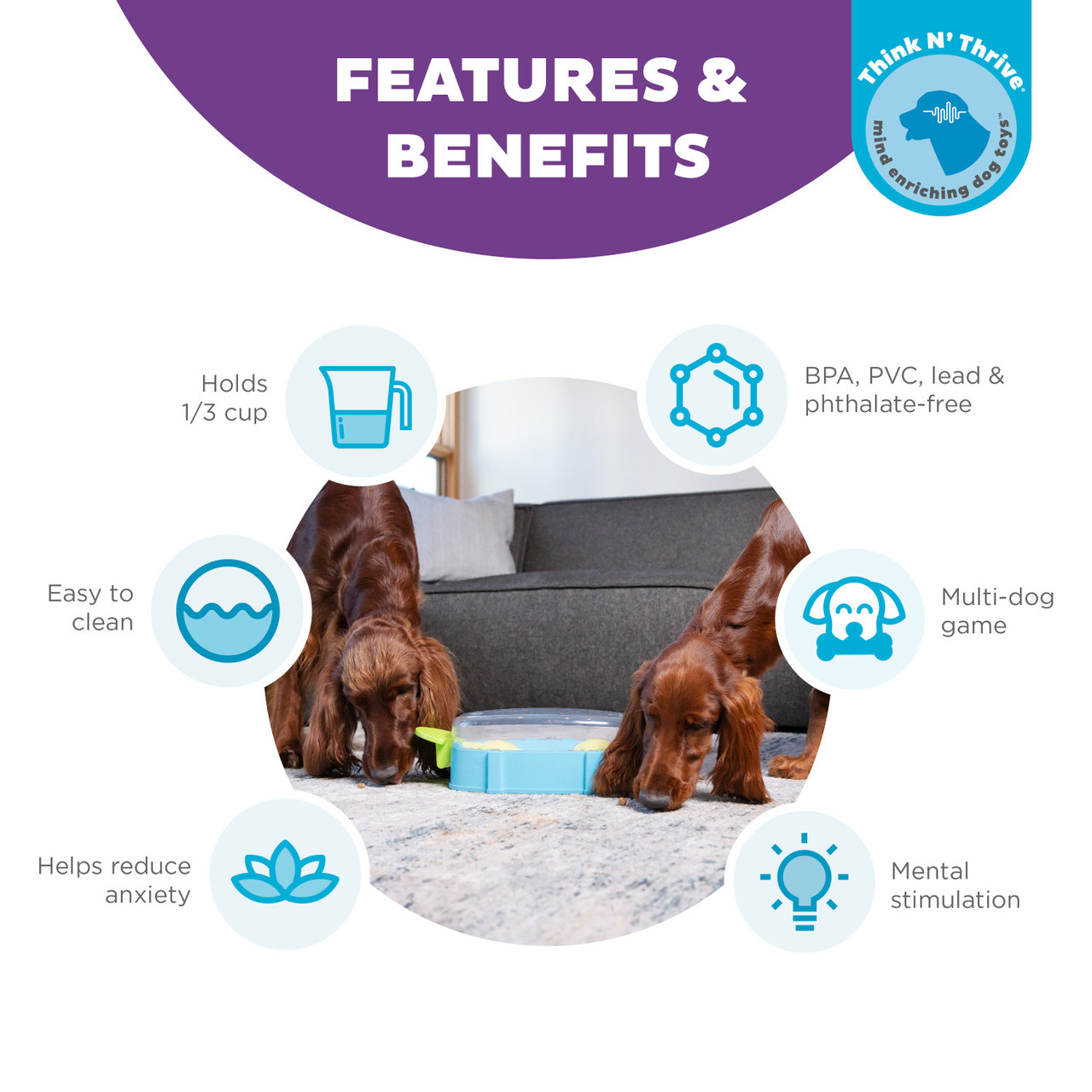 Nina Ottosson Paw And Play Dog Puzzle Small