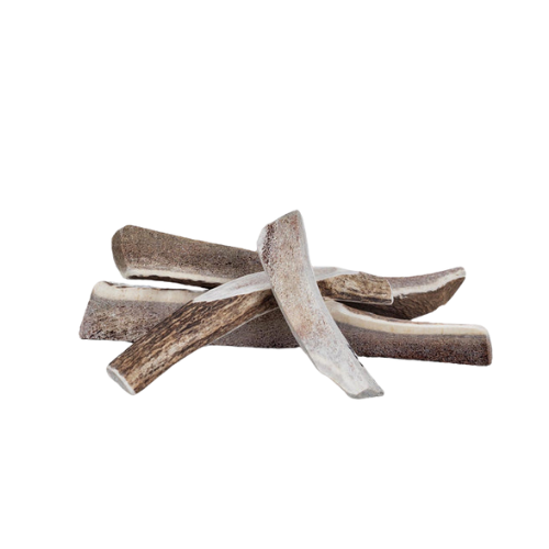 Primal Stag Antler Split Extra Large 10"+