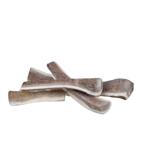 Primal Elk Antler Split Small 4-5"