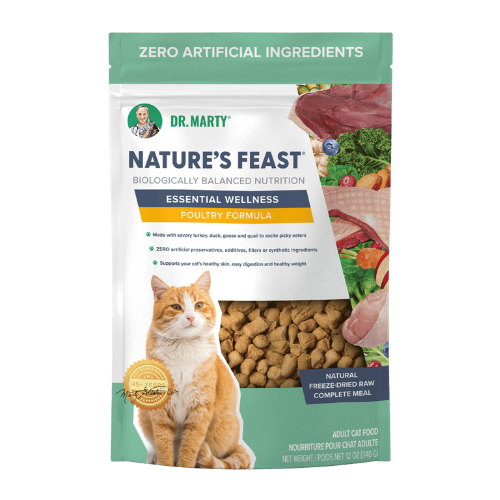 Dr Marty Cat Nature's Feast Freeze Dried Poultry 12oz
