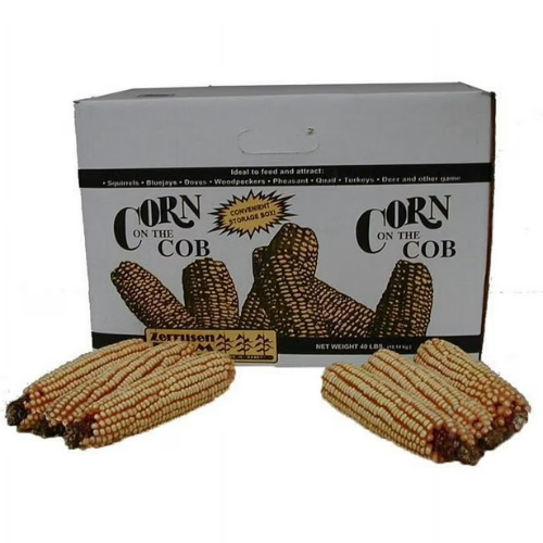 Ear Corn 40#
