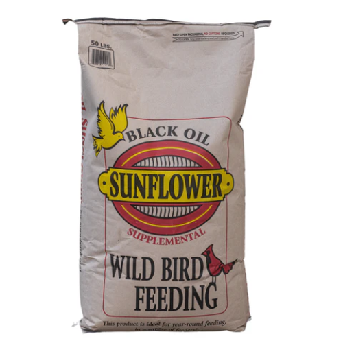 Black Oil Sunflower Seed 50#