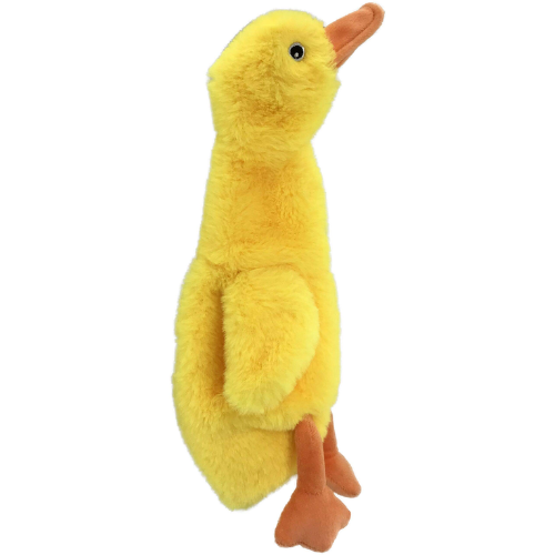 NO STUFFIES DUCK