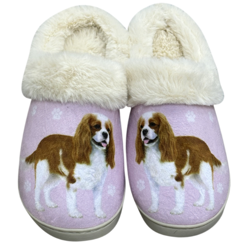 King Charles Cavalier Slippers LG XL