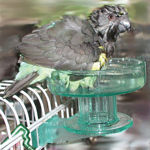 Lixit Quick Lock Bird Bath