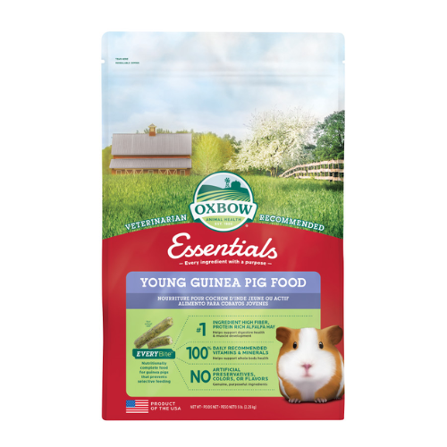 Oxbow Essentials Cavy Performance Yung Guinea Pig