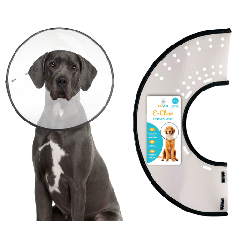 ZenPet E-Clear Recovery Collar XXL