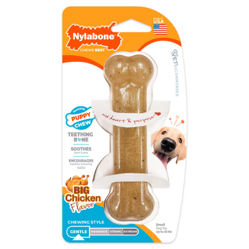 Nylabone Puppy Chew Toy Bone Regular