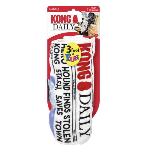 KONG DAILY NEWSPAPER XL