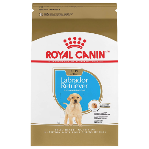 Royal Canin Puppy Breed Health Nutrition Labrador
