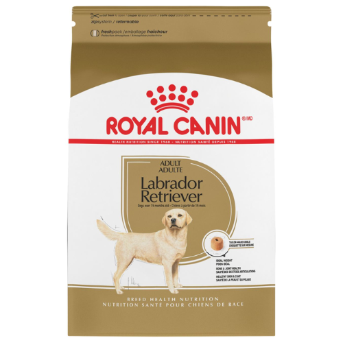 Royal Canin Adult Breed Health Nutrition Labrador