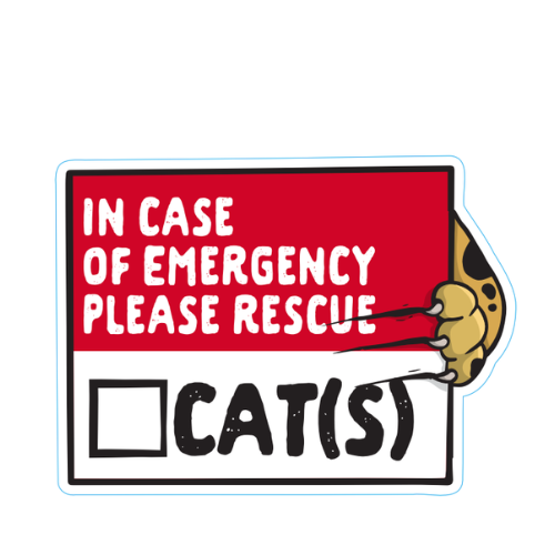 "In Case Of Emergency" Cat Rescue Small Sticker