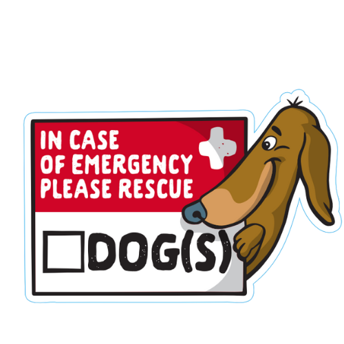 "In Case Of Emergency" Dog Rescue Small Sticker