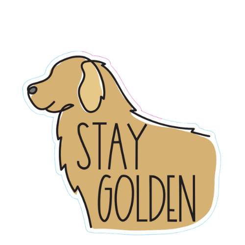 "Stay Golden" Retriever Small Sticker