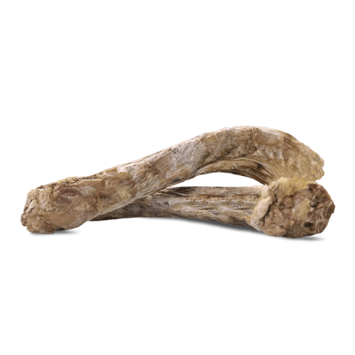 Vital Essentials Freeze Dried Duck Neck Dog Chew