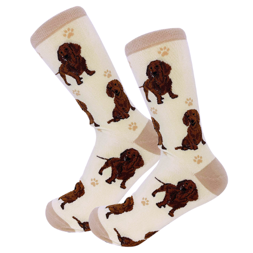 Red Dachshund Socks