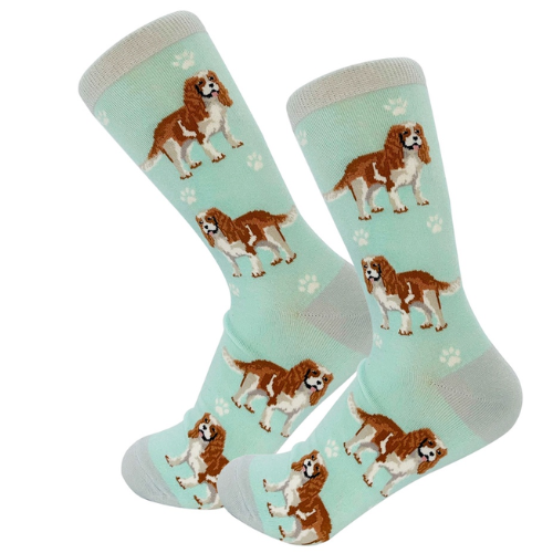 King Charles Cavalier Socks