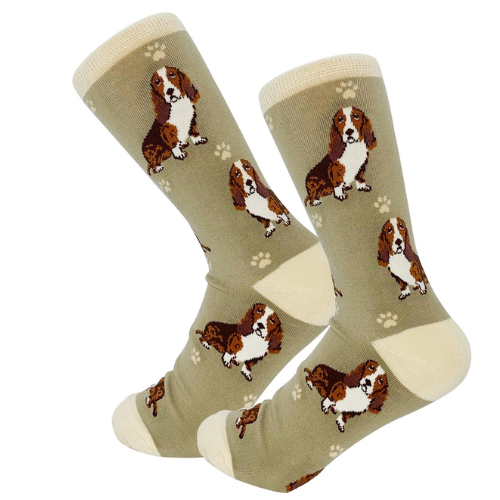 Basset Hound Socks