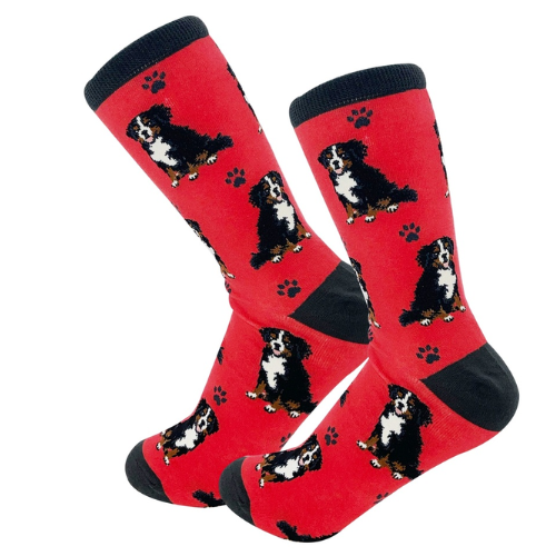 Bernese Mountain Dog Socks