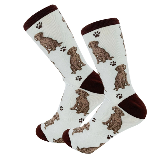 Weimaraner Socks