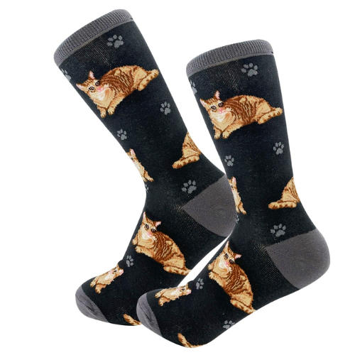 Orange Tabby Cat Socks