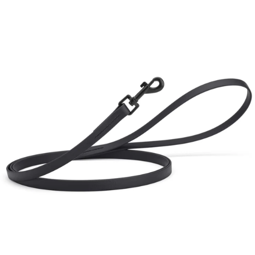 DOGLINE LEASH BLACK 6'L
