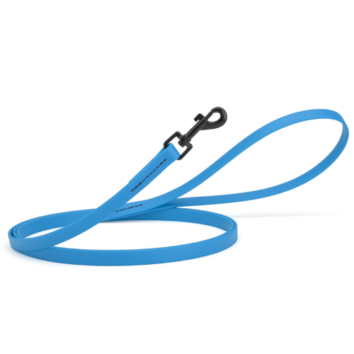 DOGLINE LEASH BLUE 6'L