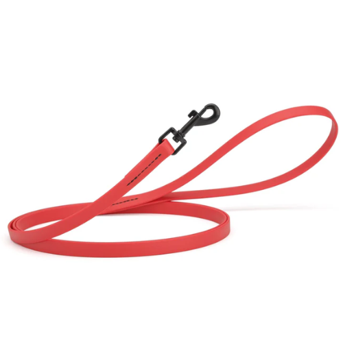 DOGLINE LEASH RED 6'L
