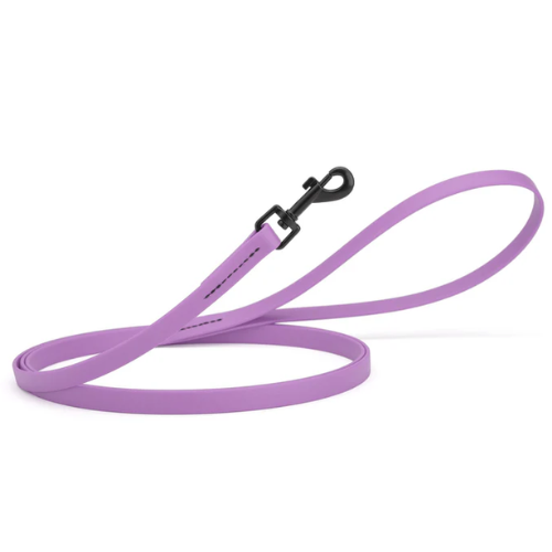 DOGLINE LEASH PURPLE 6'L