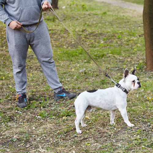 DOGLINE TRAFFIC LEASH BLUE 6'L