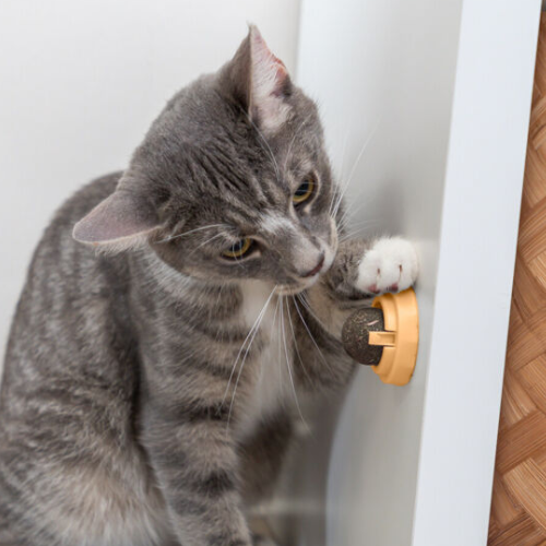 Trixie Silvervine Rolling Ball Cat Toy