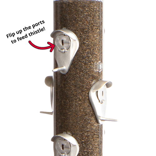 North States Hinged Port 2-in-1 Bird Feeder Green