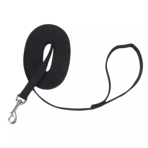 Coastal Cotton Web Leash 15'