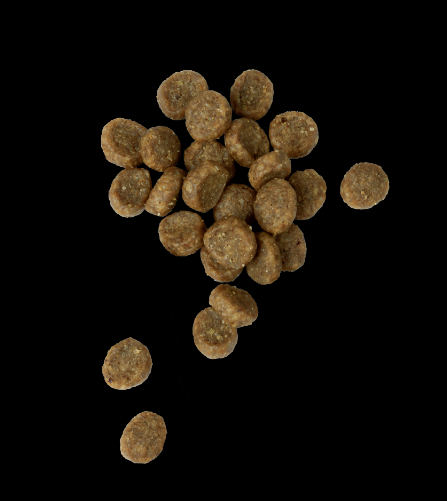 Chicken Soup Puppy Chicken Turkey & Rice 4.5#