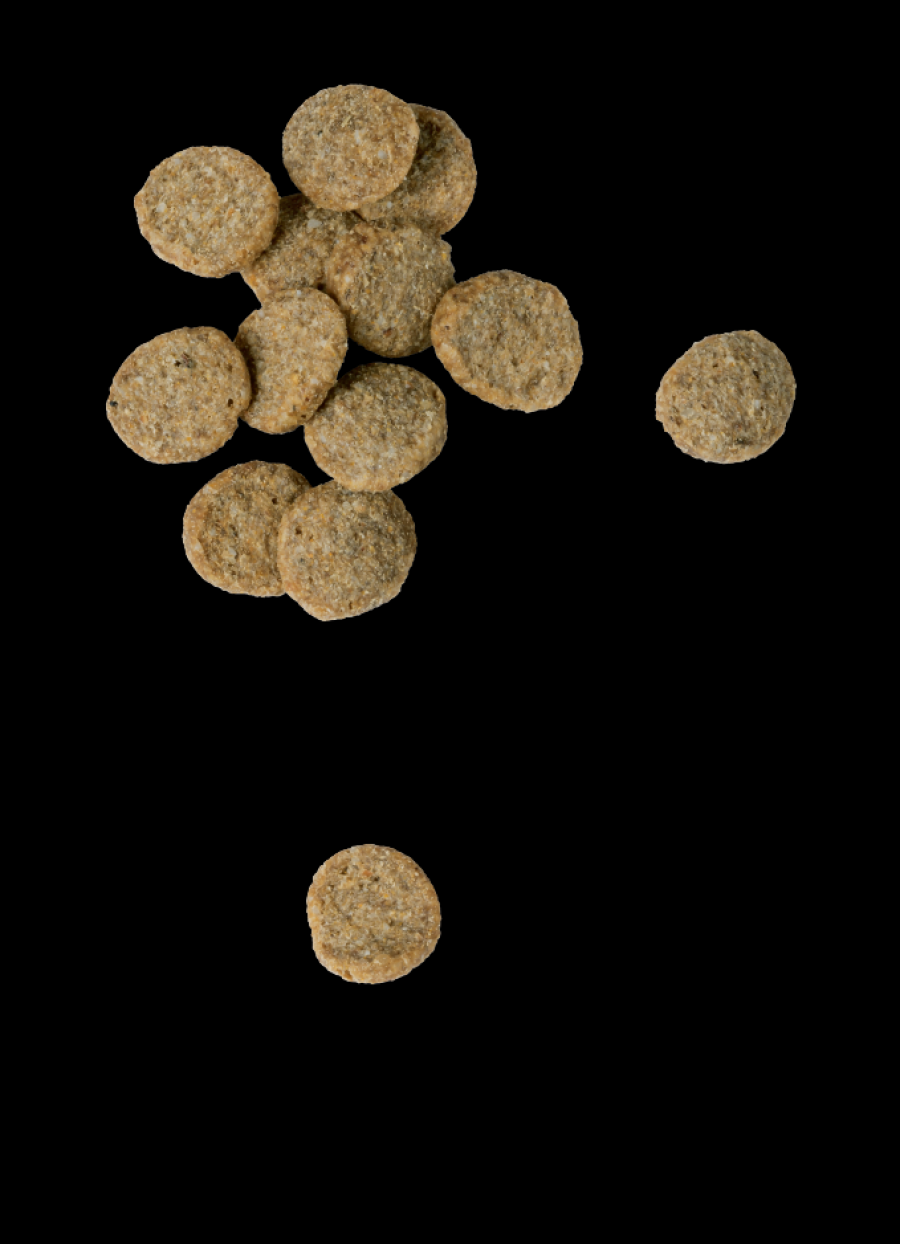 Chicken Soup Dog Weight Care Management Chicken Turkey & Rice 4.5#