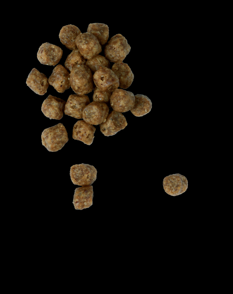 Chicken Soup Dog Small Breed Chicken Turkey & Rice 4.5#